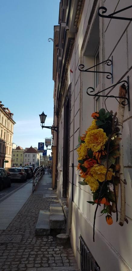 Old Town Studio (B) - Bed and Breakfast Toruń