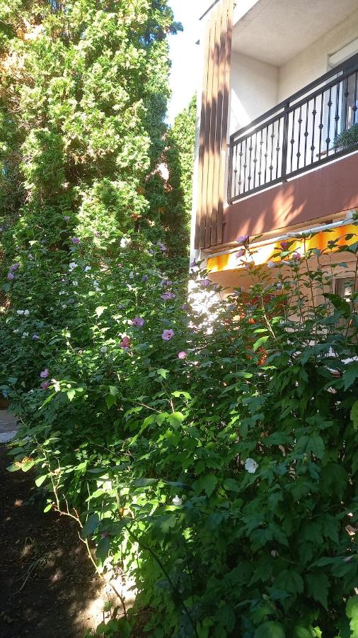 Klapka Apartman - Ferienwohnung Hajduszoboszlo