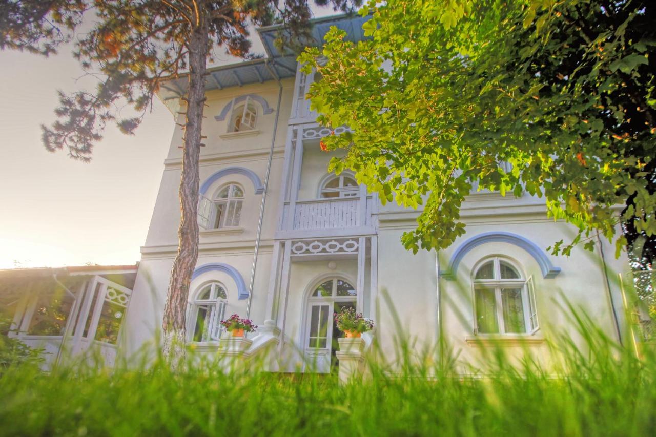 Vila Brancoveanu - Bed and Breakfast