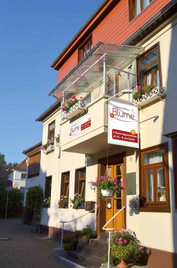 B&B Bad Pyrmont - Appartementhaus Blume - Bed and Breakfast Bad Pyrmont