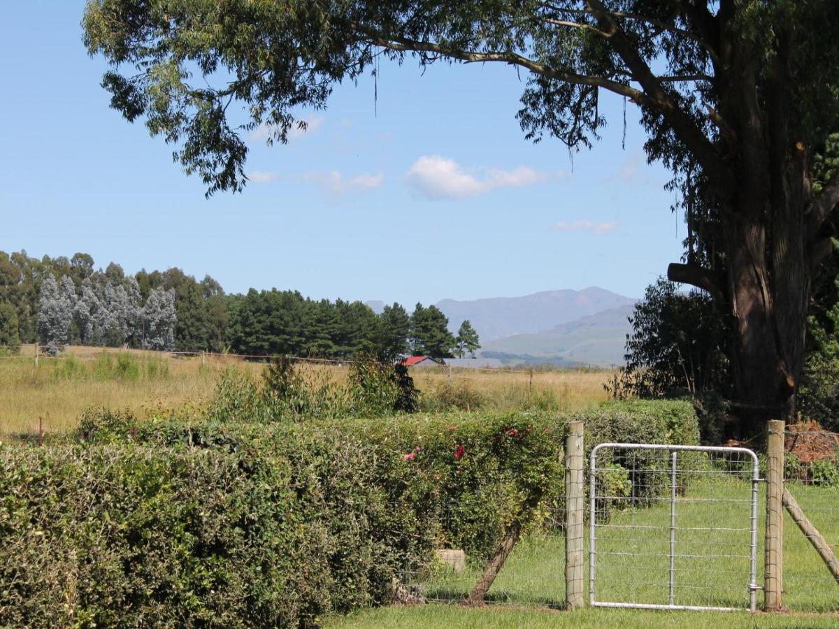 Cicada Self Catering Cottage - B&B