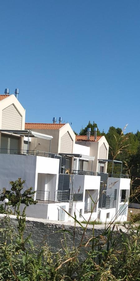 M.J.P. House - B&B
