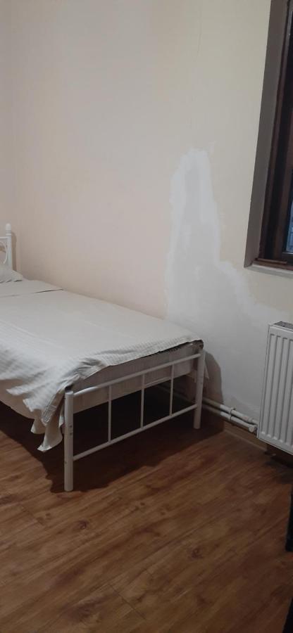 Twin Room with Terrace