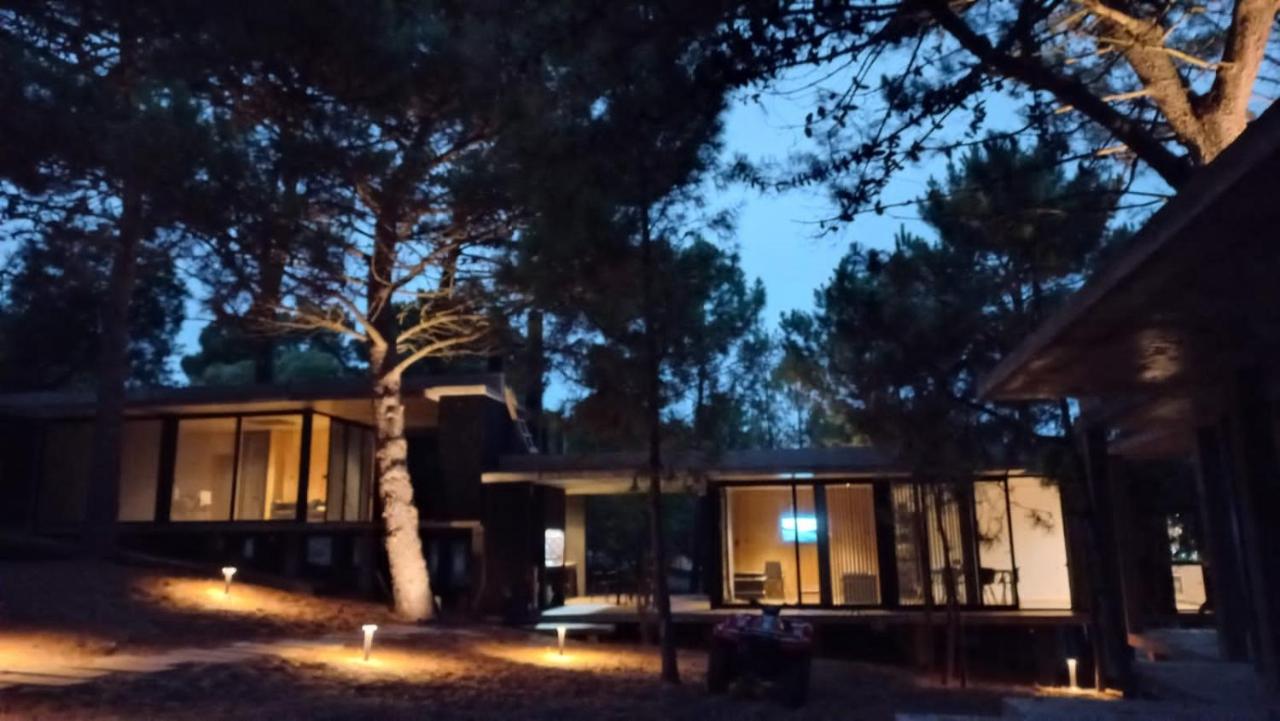 terraza pinar 1 - B&B