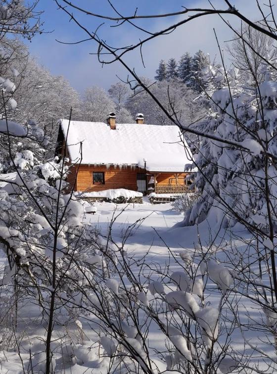 Valinka - chata pod rozhlednou Val - B&B Červená Voda