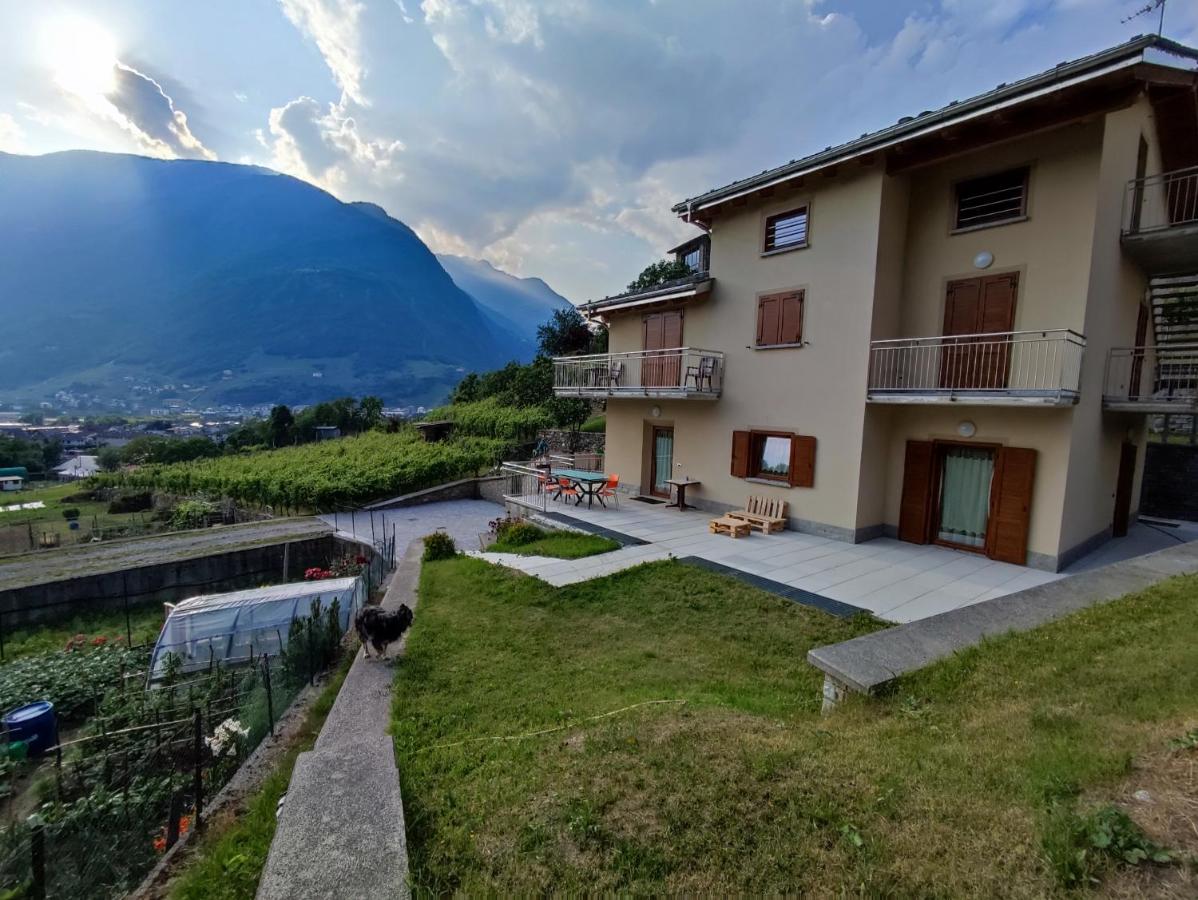 B&B Tirano - pisolo selvaggio - Bed and Breakfast Tirano