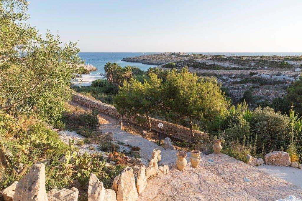 Venere - Le due Lune - B&B Lampedusa