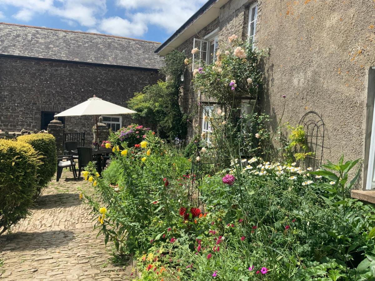 Higher Biddacott Farm - B&B