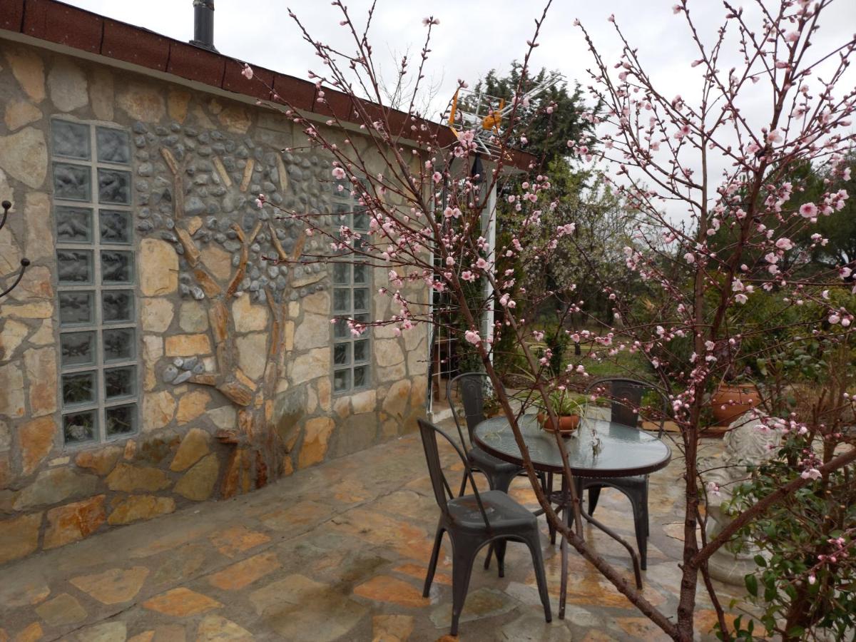 Suite con Vista Giardino