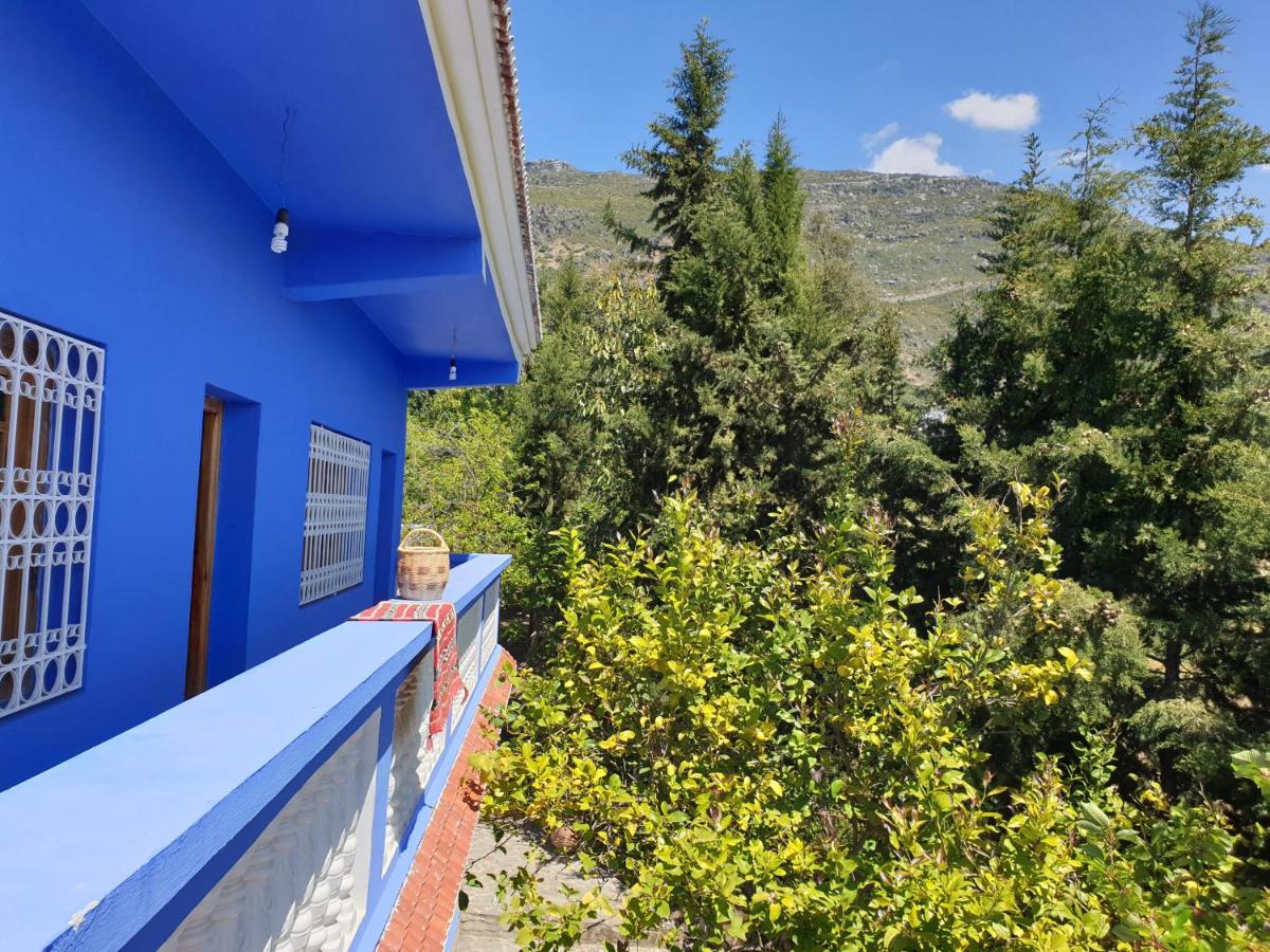 B&B Chefchaouen - Gite Talassemtane - Bed and Breakfast Chefchaouen