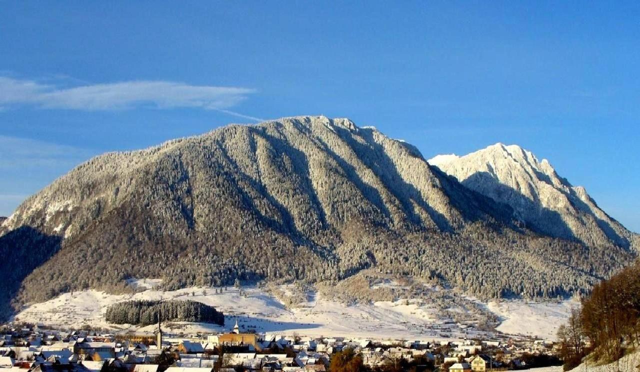 Panoramic Residence - B&B Zărneşti