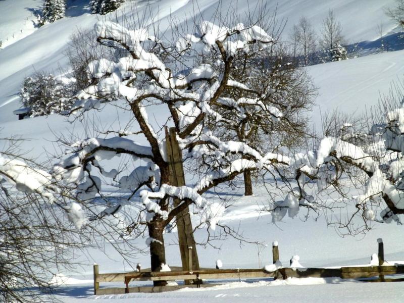 Appartamento con Terrazza