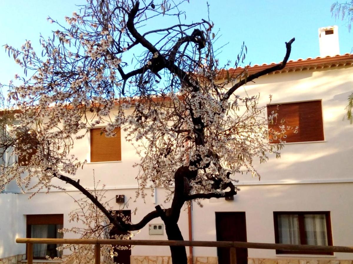 Los Olmos Alojamiento Rural - Chambres d’hôtes