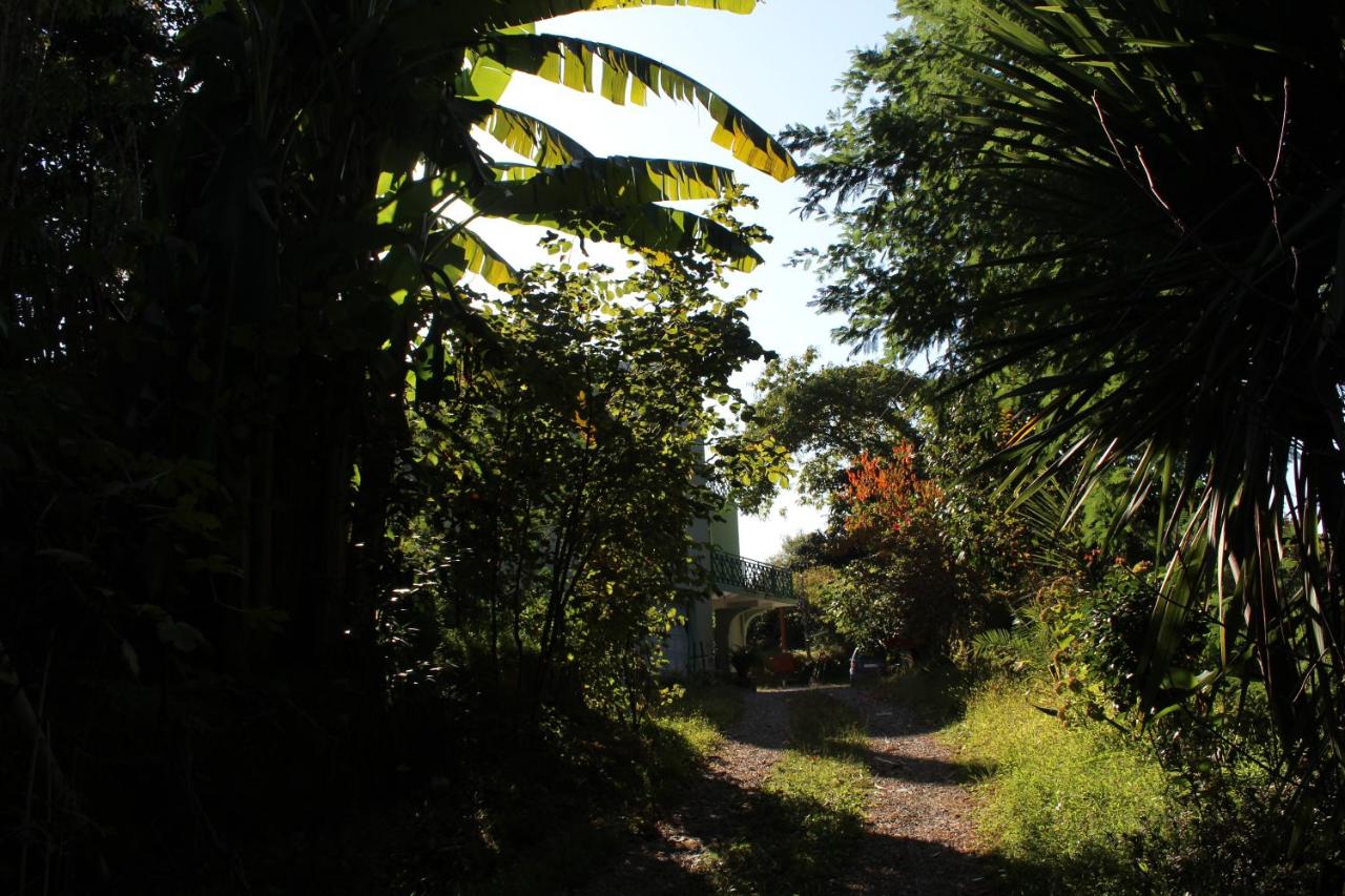 Batumi Green Cape Guest House - Ferienwohnung Makhinjauri