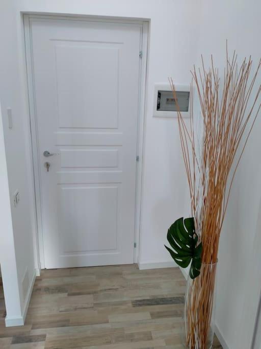 suite room malpensa b&b - Bed and Breakfast