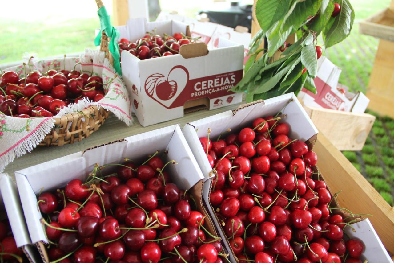 Monte das Cerejas - B&B
