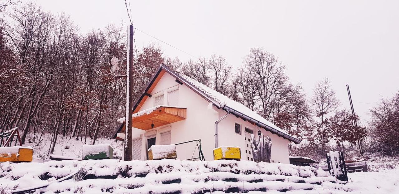 Villat Bardhoshi - Bed and Breakfast Mitrovicë