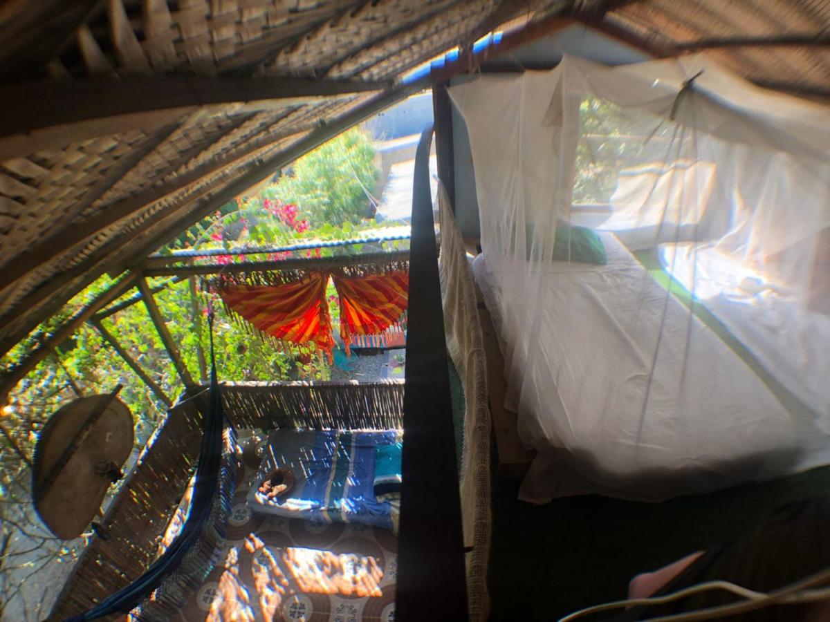 La happycleta - B&B Palomino