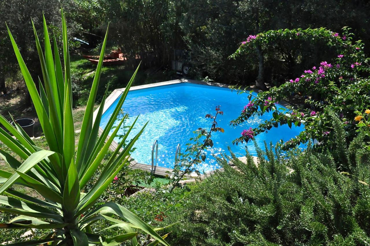 CASA SOPRANA - HAUT DE VILLA indépendant avec piscine et jardin privés - Independant TOP OF VILLA with private pool and garden - Chambres d'hôtes Porto-Vecchio