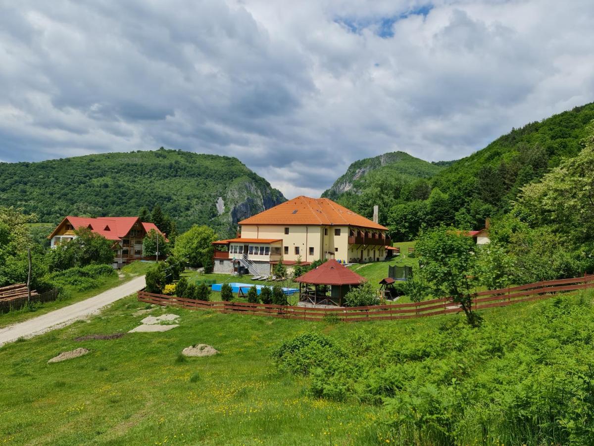 Pensiunea Castania - Pensiune cu piscina la munte - B&B Polovragi