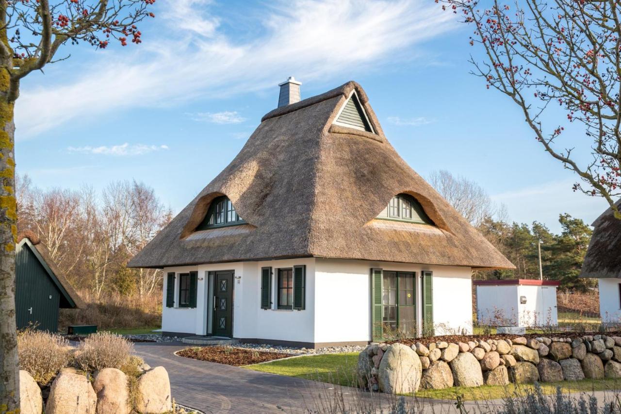 Ferienhaus Seeadler 3 - B&B