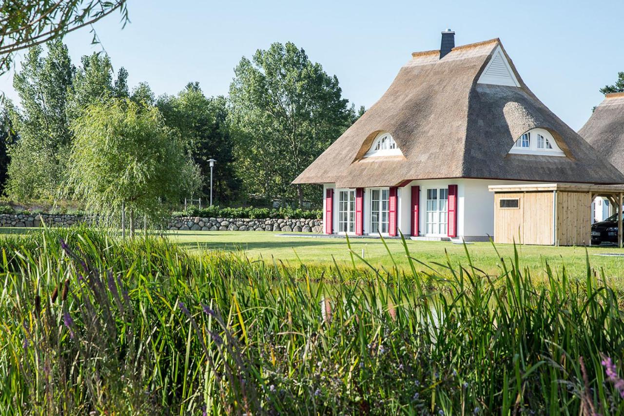 Ferienhaus Haubenlerche 62 - Bed and Breakfast