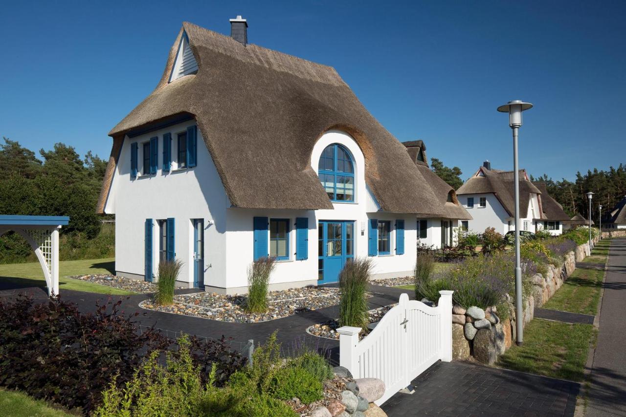 Ferienhaus Schilfrohrsaenger 8 - B&B Fuhlendorf