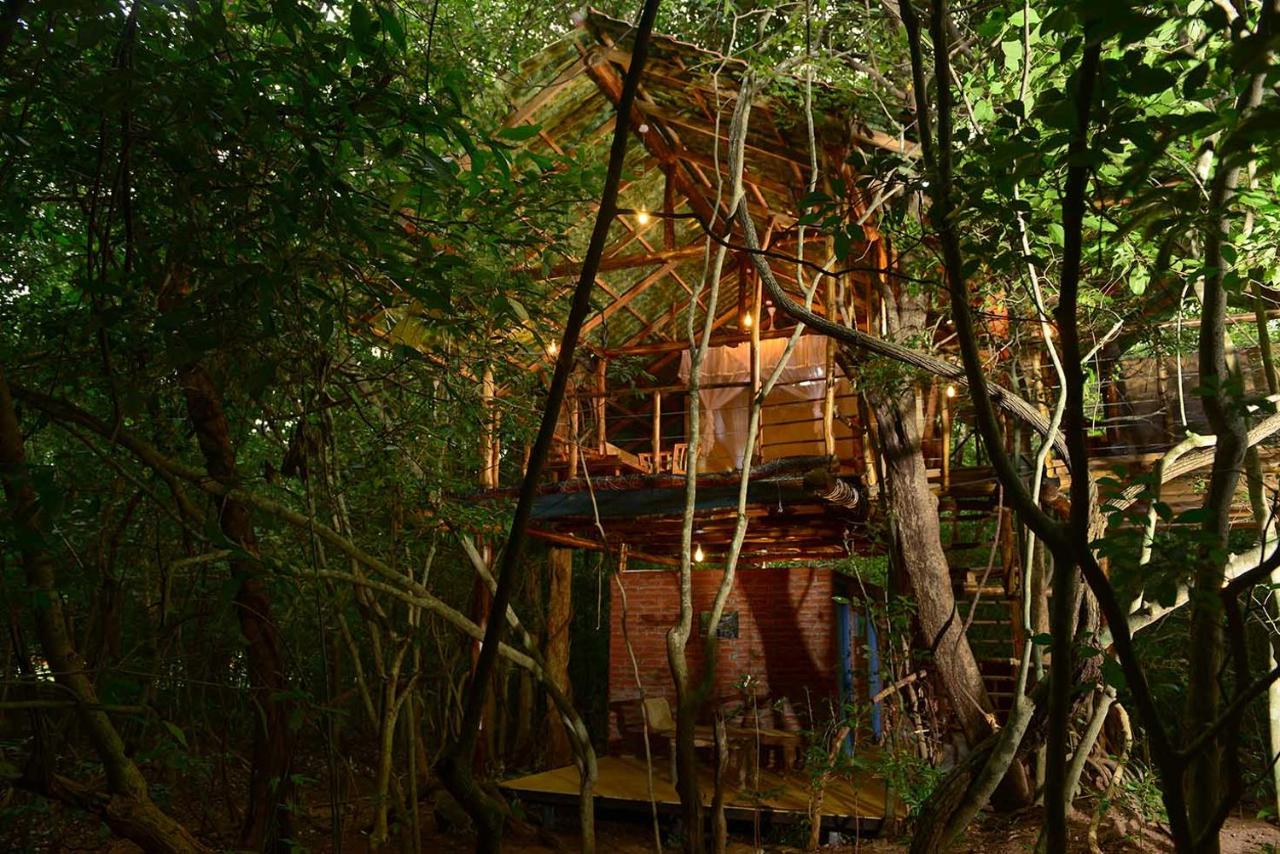 Back of Beyond - Pidurangala - B&B
