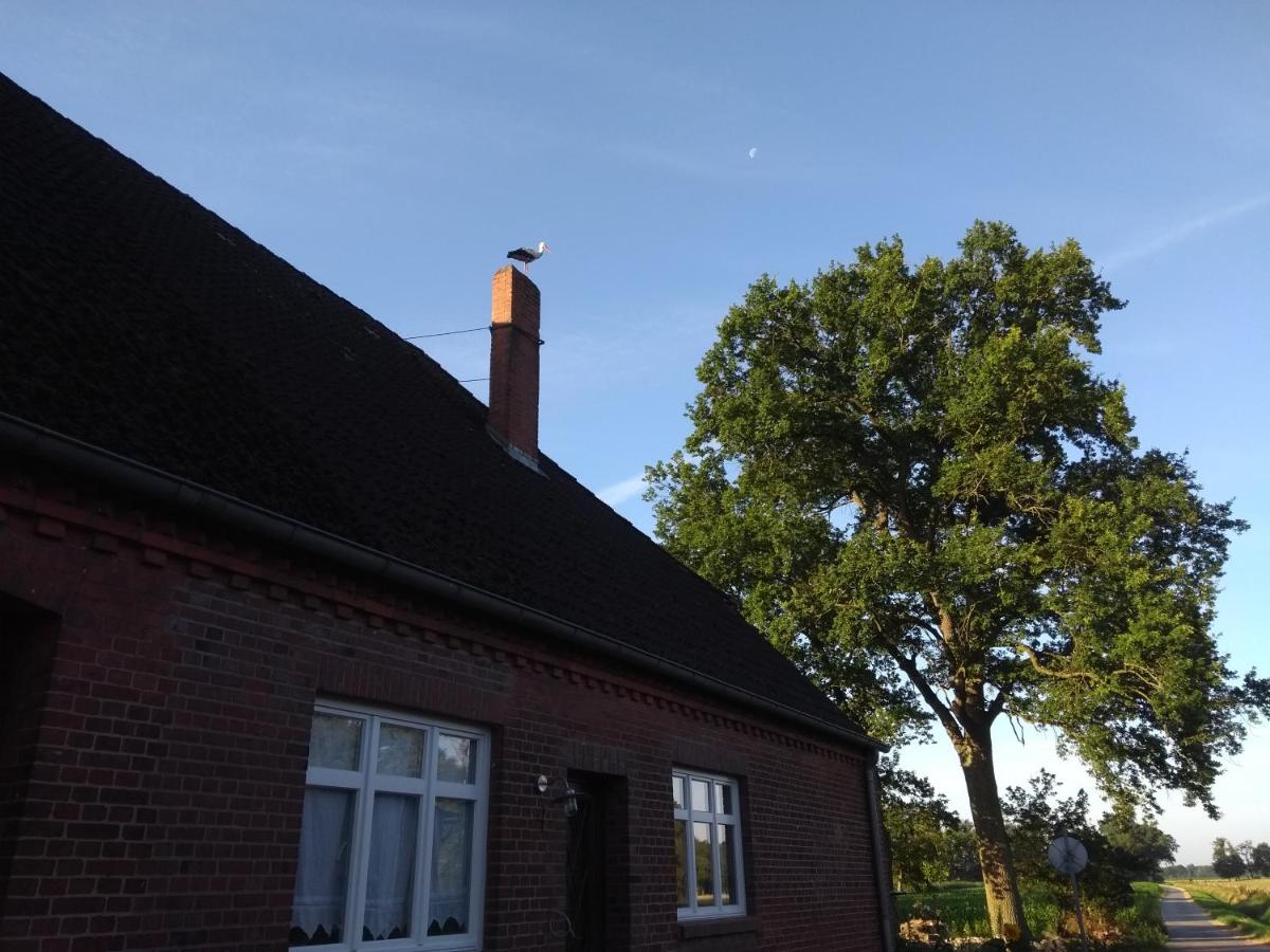 Krötenhof Barförde - B&B Barförde