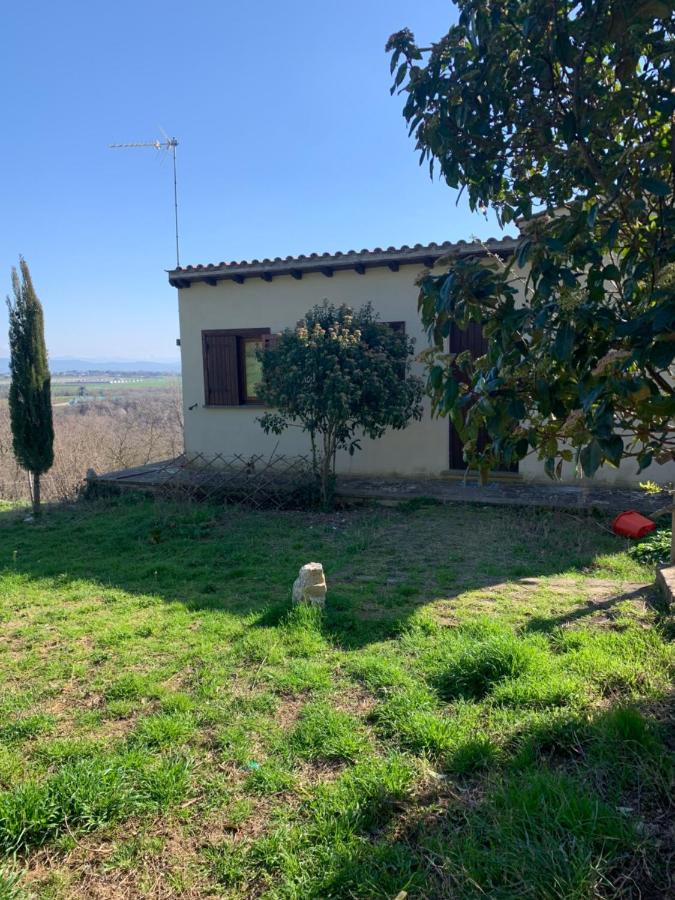 Antico Casale Edifizio -appartamento indipendente- - B&B