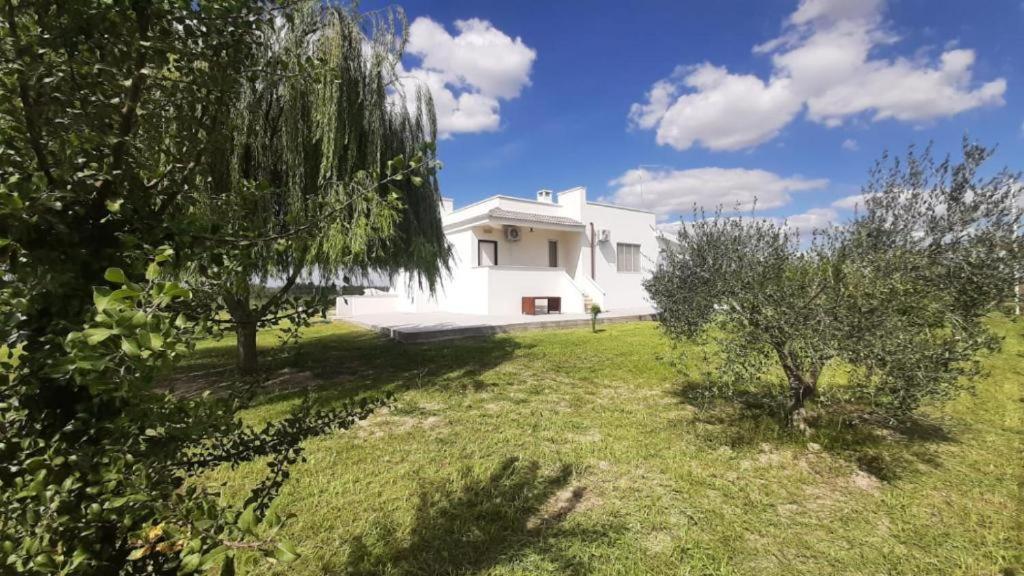 Abaton - Casa vacanza - B&B Metaponto