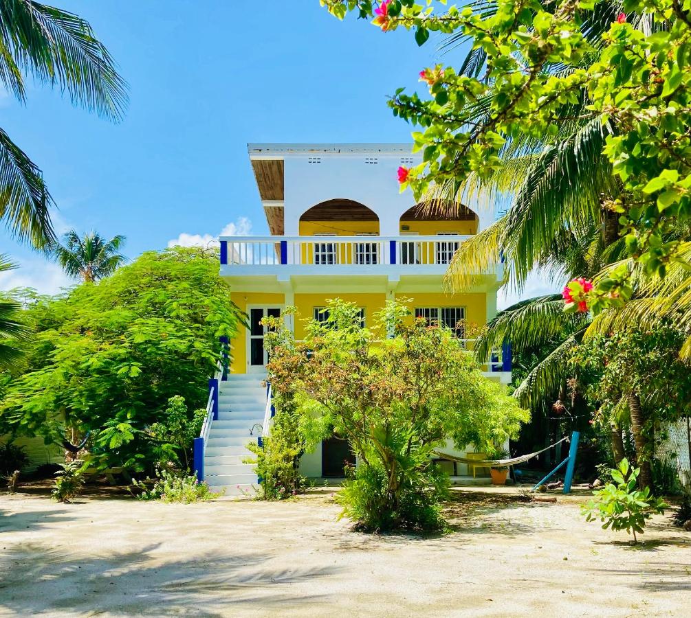 B&B Caye Caulker - JAGUAR MORNING STAR - Bed and Breakfast Caye Caulker