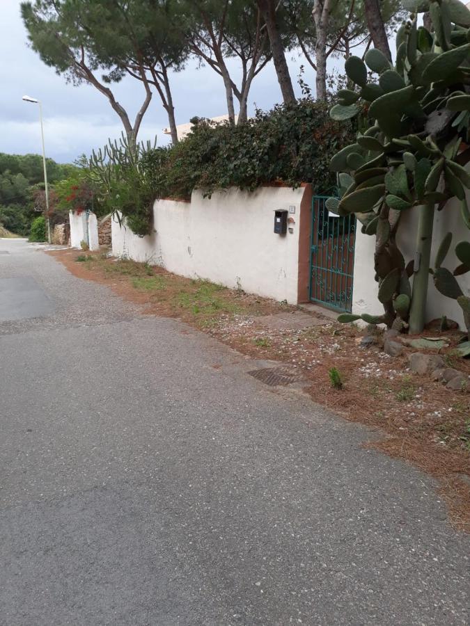 Le Sunrise - Appartamenti a 350 mt dal mare e con giardino privato - Ferienwohnung