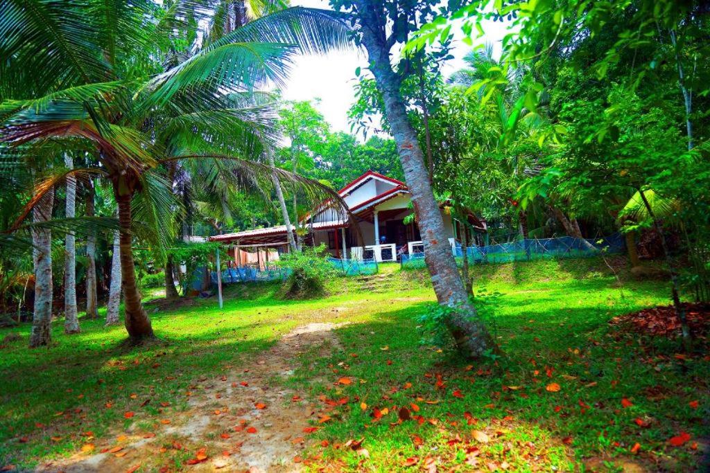 Villa 1 Chambre