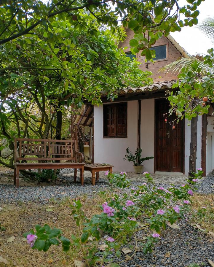 Habitación Individual con vistas al jardín