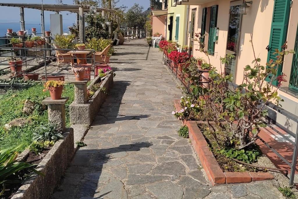 In Sciâ Costa - Chambres d’hôtes Bogliasco