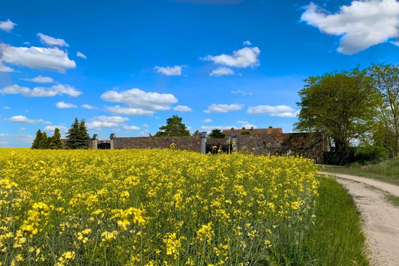 B&B Steinhöfel - Vierseitenhof Hasenfelde - Ferienwohnung Feldblick - Bed and Breakfast Steinhöfel