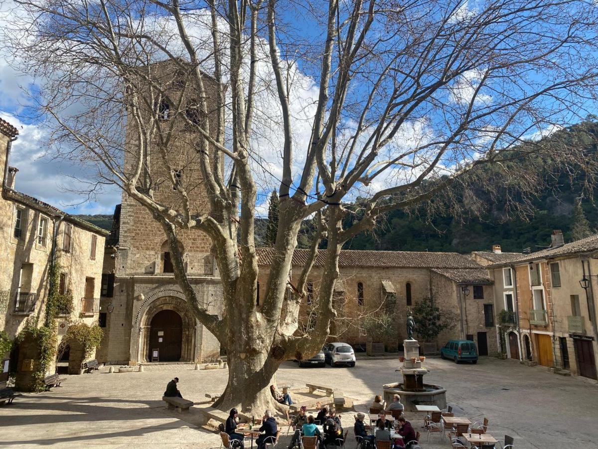 B&B Saint-Guilhem-le-Désert - MACLENFA: charmant studio au cœur de l’Herault. - Bed and Breakfast Saint-Guilhem-le-Désert