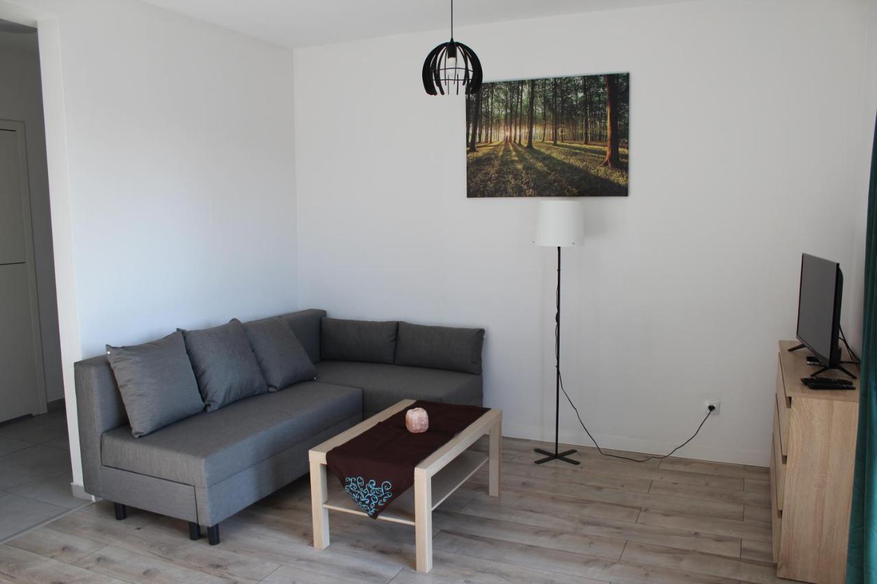 B&B Rybnik - Apartament Fibra Freddo - Bed and Breakfast Rybnik