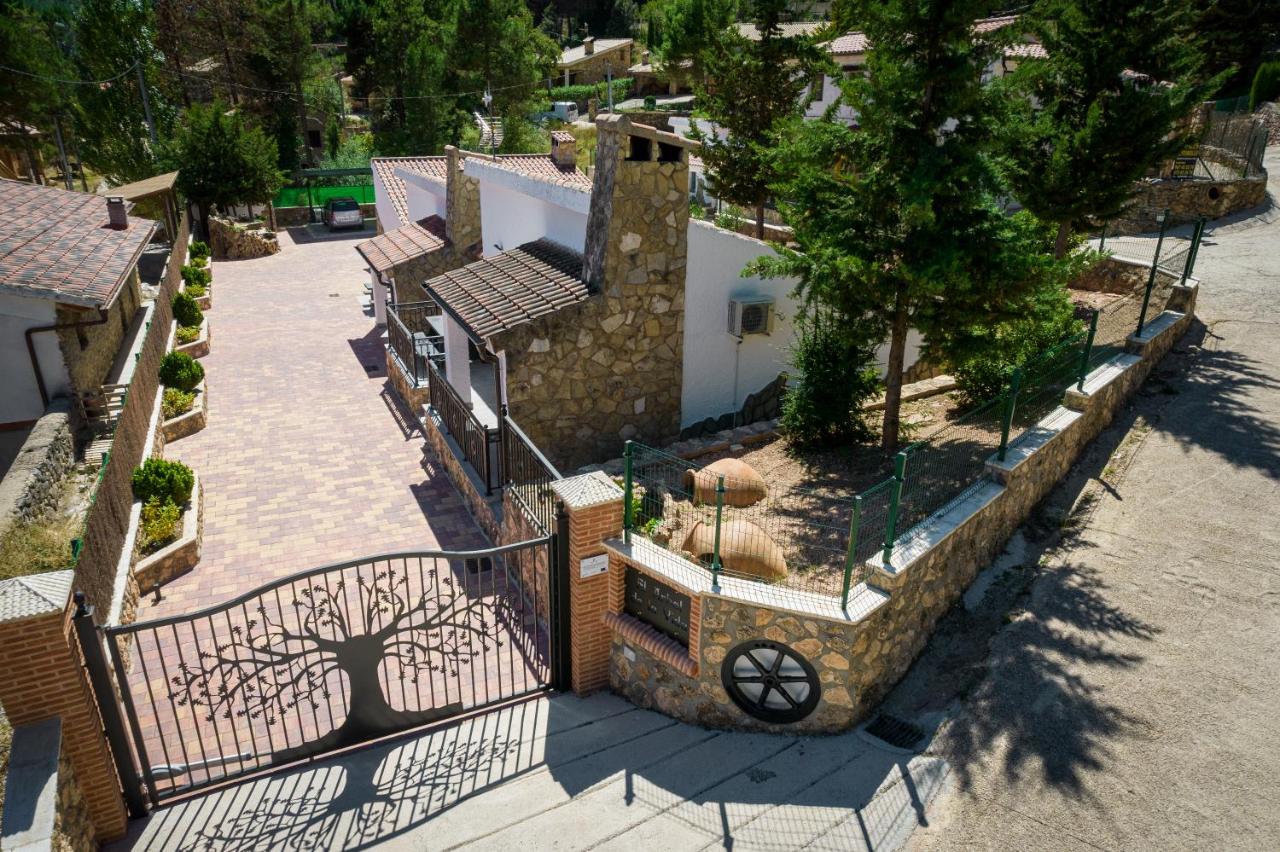 Casas rurales El Arbol de la Vida - B&B