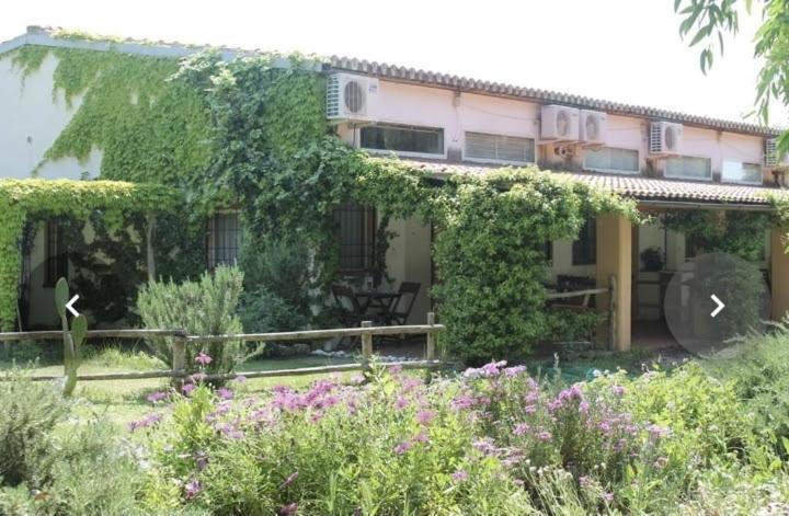 B&B Montalto di Castro - Il Piccolo Borgo - Bed and Breakfast Montalto di Castro