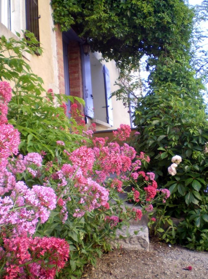 Les Valérianes - B&B Sablet