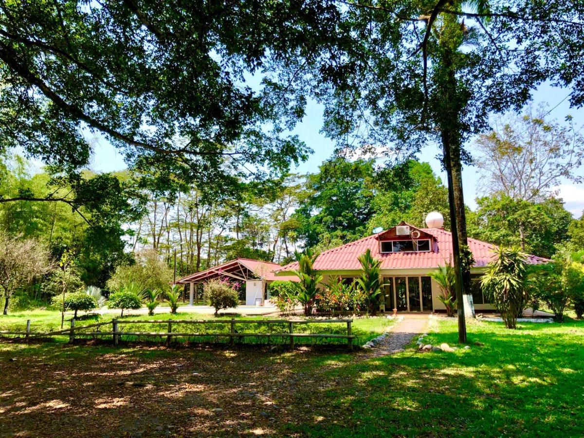 Finca La Dacha - B&B
