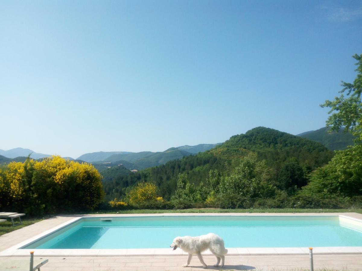 Agriturismo del Frontino - Ca' Marianna - B&B Acqualagna