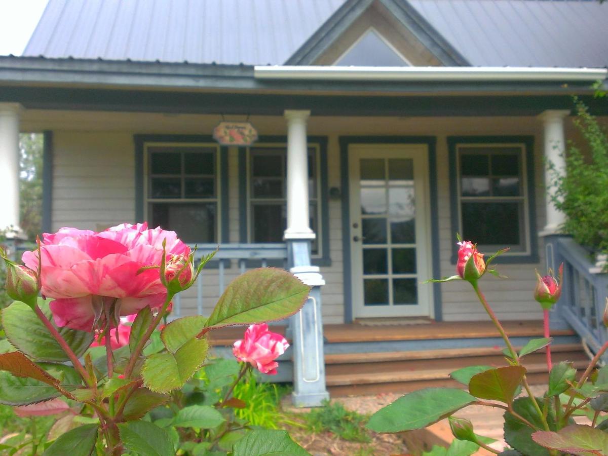 Apple Orchard Inn - B&B