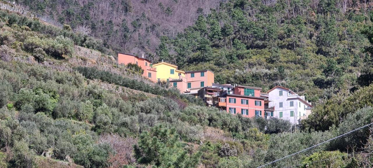 ☆ Terrace & Relax ☆ CASA FRANCESCHIN_ HOMY 5 TERRE - B&B Riomaggiore