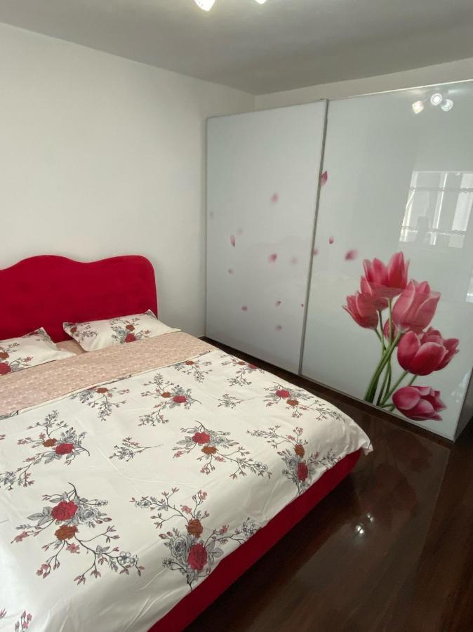 B&B Drăgăşani - Apartament cozy - Bed and Breakfast Drăgăşani