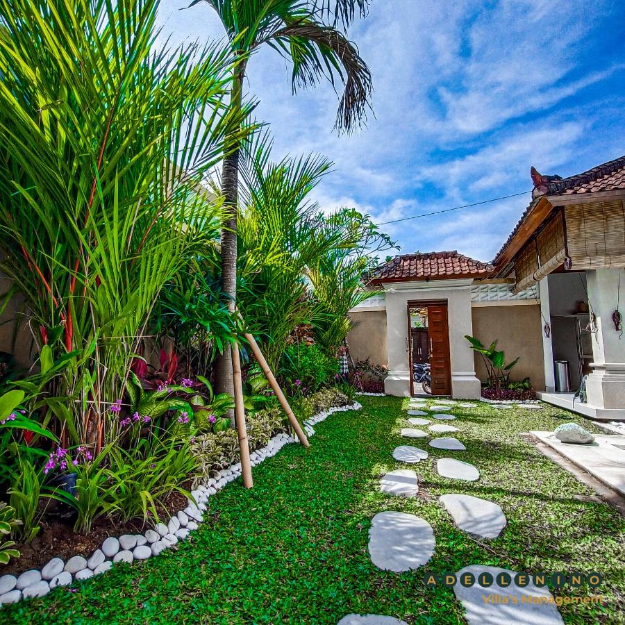 CASA LUWIH Newly Renovated 2BR Villa with Private Pool in Seminyak - B&B