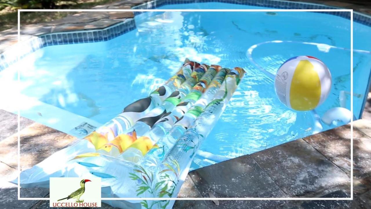 Uccellohouse - B&B Marloth Park