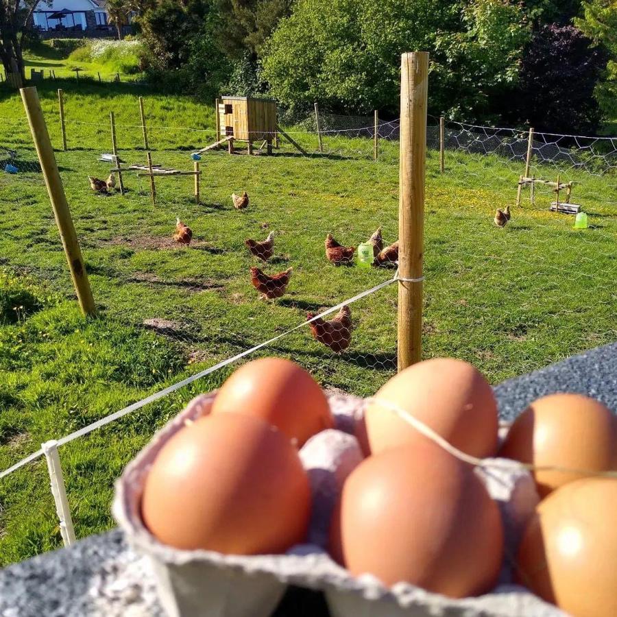 Kerryanna Country House Bed and Breakfast - B&B Mevagissey